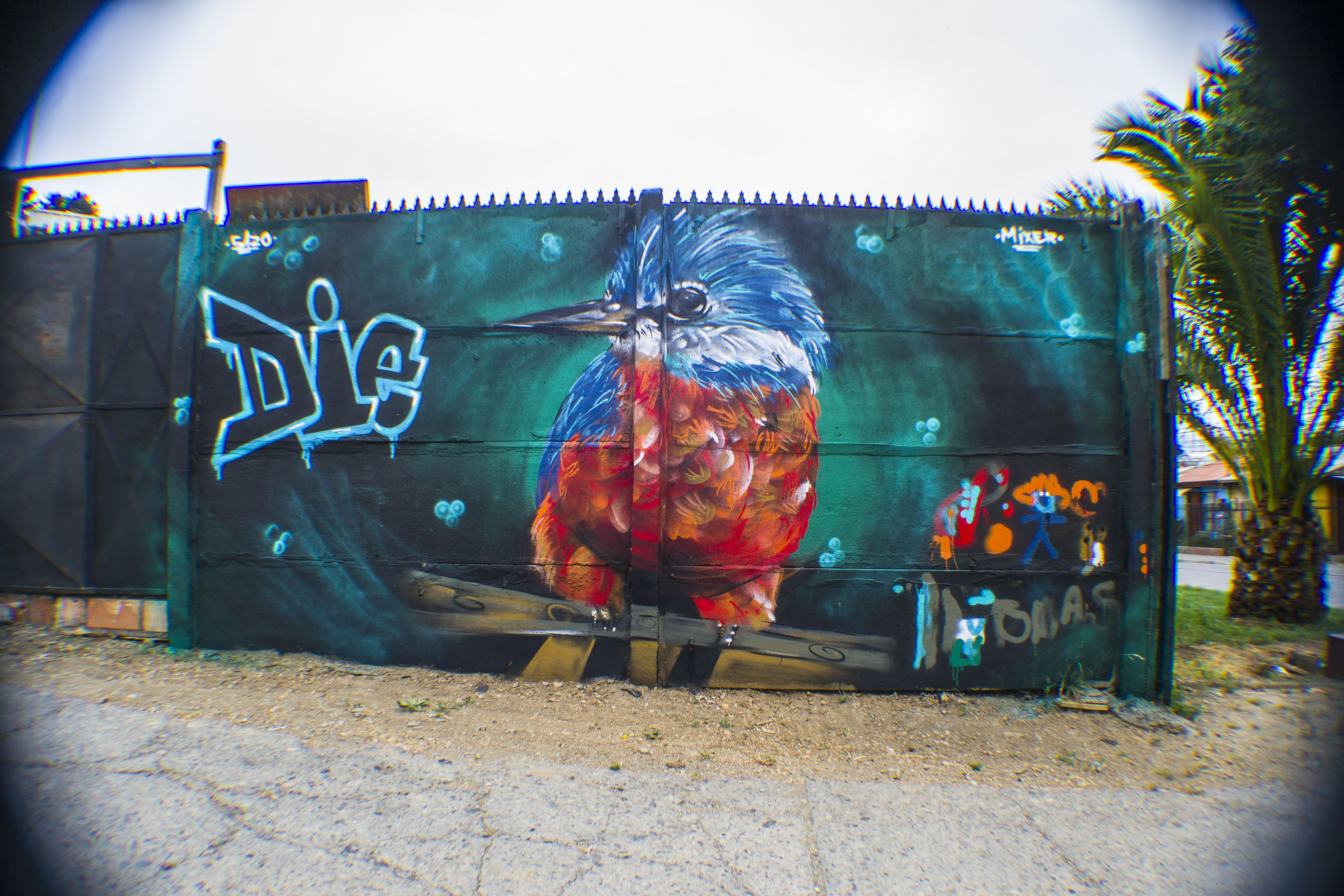 Muro Die